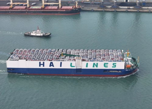 山東陸路國際貨運代理業務發展趨勢與挑戰