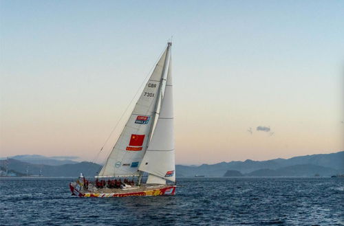 海上茶葉縱貫線 陸路國際貨運(yùn)代理業(yè)務(wù)的戰(zhàn)略支點(diǎn)與時(shí)代新章